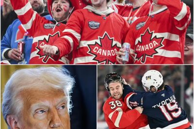 BREAKING: Donald Trump Fires Back at Team USA GM Bill Guerin’s Invitation to Canada Showdown!