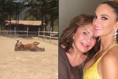 Mariana Seoane revela que contactó a su fallecida madre a través de un caballo: “el alma pudo entrar”