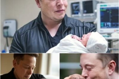 A newborn baby was abandoned just five hours ago. In the face of this heartbreaking situation, Elon Musk has stepped in to become her guardian, committing to covering all expenses for her upbringing.