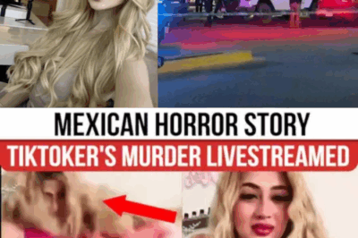 Exclusive: Leaked CCTV Footage Captures Terrifying Moment TikTok Beauty Influencer Was Attacked During Livestream in Mexico — Authorities Reviewing the Shocking Clip as Public Reacts in Outrage