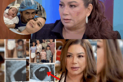 HOT: Dina Bonnevie shocks fans by revealing why she doesn’t support Kristine Hermosa and Oyo Boy Sotto having another child. Her unexpected reason sparked major controversy and divided netizens, reigniting old tensions within the celebrity family circle.