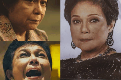 Tears and Truth: Sa gitna ng luha at damdamin, tuluyang bumulaga si Nora Aunor sa publiko nang ibunyag niya ang mga lihim na kaaway sa likod ng matagal na sakit na kanyang dinadala.