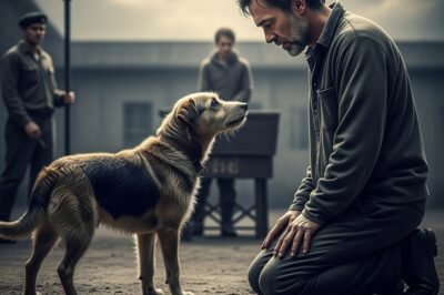 Su último deseo antes de ser ejecutado era ver a su perro… pero lo que ocurrió después lo cambió todo.
