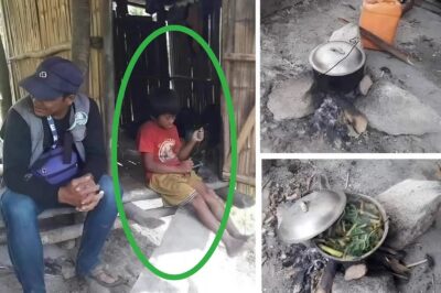 La historia olvidada en la Sierra Madre Occidental: un niño que vive solo en el corazón de la montaña