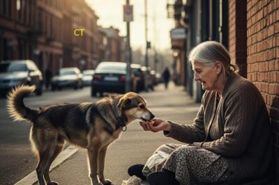 La mujer que alimentaba a los perros callejeros y devolvía su dignidad