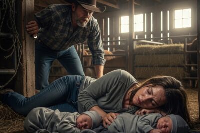 RANCHERO ESCUCHA RUIDOS EN EL GRANERO Y AL LLEGAR ENCUENTRA A UNA JOVEN CON DOS RECIÉN NACIDOS
