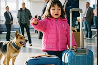 Una niña sollozó y señaló la maleta: “Ahí está mi mamá”… El K9 empezó a ladrar y todos quedaron paralizados…