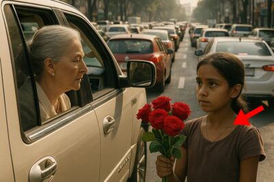 UNA ANCINA ADINERADA ENCONTRÓ A UNA NIÑA POBRE EN LA CALLE — CUANDO DESCUBRIÓ SU COLLAR, SE DESMAYÓ