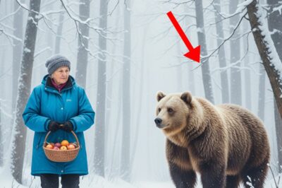 EL OSO Y LA MUJER DEL ABRIGO VERDE