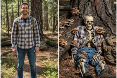 Un turista desapareció en Colorado en 1994 — 7 años después lo encontraron debajo de un árbol, con hongos creciendo alrededor…