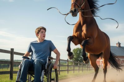 ¡Adolescente Paralizado Entra en la Arena! Lo Que Este Potro Salvaje Hizo Después Hizo Llorar a Todos…