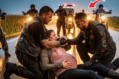 El Santuario del Asfalto: Cómo los Hell’s Angels Declararon la Guerra para Proteger a una Mujer Embarazada Abandonada y Desafiaron a la Ley