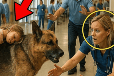 Un perro K9 entró al hospital con una niña herida. ¡Nadie podía creer lo que siguió!