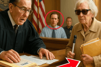 Una mujer ciega de 86 años recibió 23 multas de estacionamiento… Lo que el juez Frank Caprio encontró sorprendió a todos.