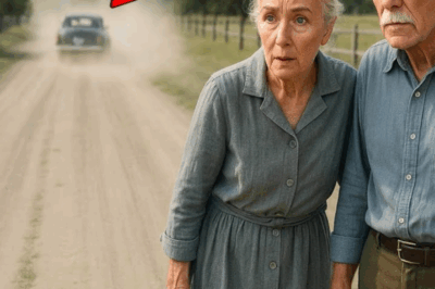 LOS HIJOS DEJARON A SUS PADRES A LA ORILLA DEL CAMINO… HASTA QUE DESCUBRIERON LA HERENCIA