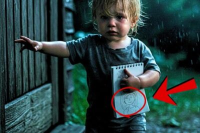 Un niño desesperado huyó de su madrastra cruel… y en una cabaña abandonada halló su destino
