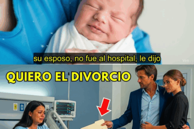 Dio a Luz y su Esposo le Pidió el Divorcio… Pero lo que Ella Hizo Nadie lo Esperaba