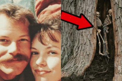 Pareja de turistas desapareció en Joshua Park; 7 años después sus cuerpos fueron encontrados dentro de un árbol…