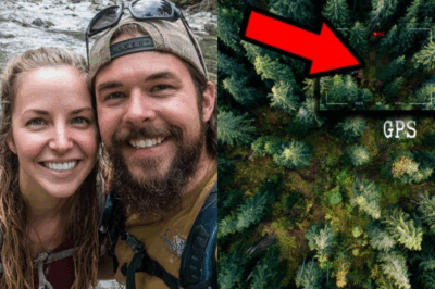 Resuelto un caso sin resolver tras cinco años: una pareja de excursionistas fue encontrada atada a árboles con implantes GPS ocultos, lo que revela el experimento inhumano del asesino.