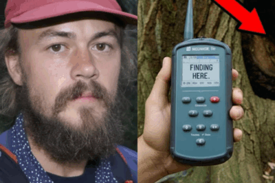 Turista desapareció en las Grandes Montañas Humeantes; 6 años después fue encontrado dentro del HUECO DE UN ÁRBOL…