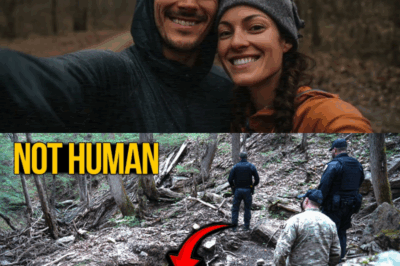 Enterrado vivo: El encubrimiento de hormigón del lugar de exterminio de Virginia Occidental y el aterrador depredador que acecha los oscuros senderos de Estados Unidos