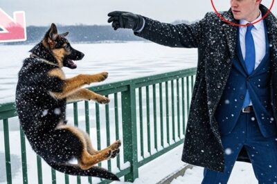 Hombre de negocios arrojó a un cachorro a un lago helado — lo que K9 y oficial hicieron sorprendió