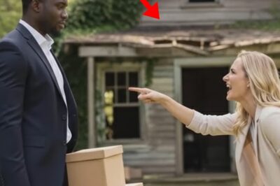 Su exesposa se rió al dejarle la pequeña casita… sin saber nada de su herencia de 100 millones de dólares.