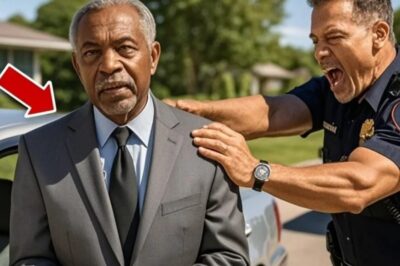Un policía racista apunta con su arma a un anciano negro — luego descubre quién es en realidad.