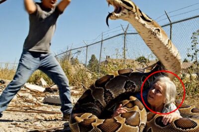 La perra corrió hacia el fuego antes que los bomberos… y sacó al bebé de las llamas.