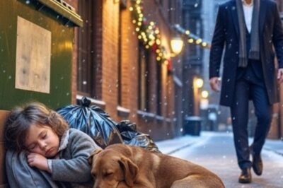 Padre Soltero CEO Encuentra a una Niña y su Perro Durmiendo en la Basura—La Verdad lo Destrozó