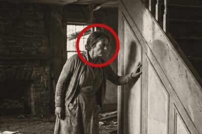 Compró la casa abandonada por monedas… al romper la pared, encontró algo que la hizo rica.