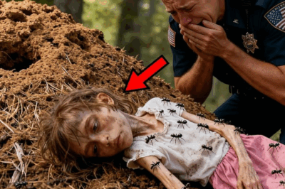 Policía encuentra a niña abandonada sobre un hormiguero — un detalle lo hace llamar al 911 llorando