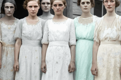 Todas las hijas de la familia Wilkes murieron en su noche de bodas, hasta que una mató al novio.