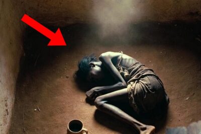 Una sirvienta inocente perdió 8 kilos por hambre. Los amos culpables no perdieron nada. Hasta que cuatro esclavos decidieron…