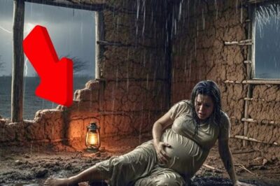 PERDIDA y EMBARAZADA: El milagro de una MADRE que desafió a la MUERTE 40 veces en el SERTÃO.