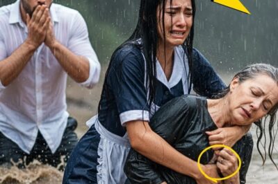 UNA EMPLEADA HUMILDE RESCATA A LA MADRE DEL MILLONARIO DEL RÍO… Y DESCUBRE QUIÉN QUISO DESTRUIRLA