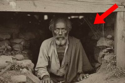 La historia del esclavo escondido: 19 años en un agujero – 1860