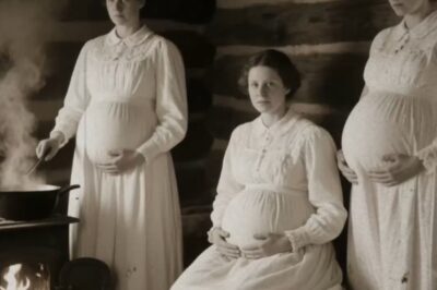 Atrajeron a 15 Viajeros, los Forzaron a la Cama y los Huesos en su Estufa…