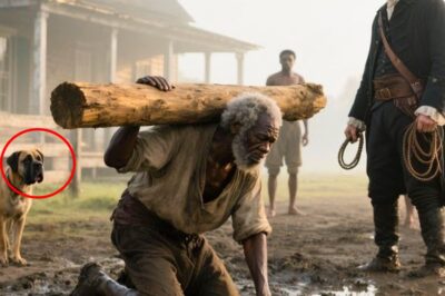 El Amo que rompió la columna de un esclavo anciano… y fue devorado por perros, Charleston 1661