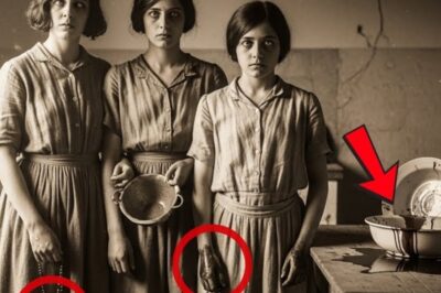 La Horrenda Historia de las Tres Hermanas que Sobrevivieron Comiendo Carne Humana