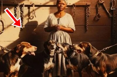 OBLIGADA A TENER SEXO CON 3 PERROS: Esclava embarazada AHOGADA Amo con la placenta del bebé muerto