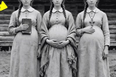 Las hermanas trillizas Redd: prácticas horribles — casadas con los esclavos varones familiares