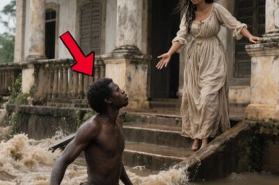 La señora dio refugio a un esclavo durante la inundación, sin saber que él le haría algo terrible…