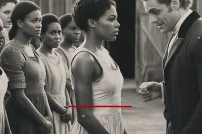 La joven esclava fue elegida exclusivamente para ser utilizada por el Coronel, ¡pero lo que hizo una heredera vecina fue escandaloso!