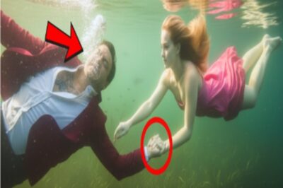 Mujer Salva A Un Desconocido Que Se Estaba Ahogando, Pero Él Era El Jefe De La Mafia — Entonces…