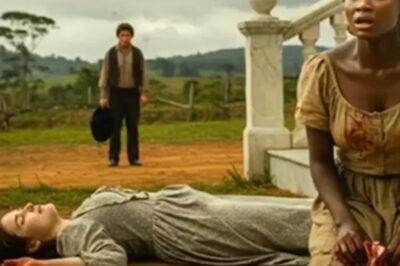 El amor prohibido del esclavo y el crimen de la casa grande