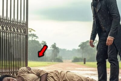 El barón viudo encontró a una joven esclava herida en su puerta y decidió cuidarla en secreto.