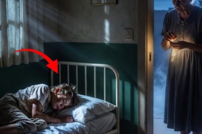 Niño abandonado dormÃa en un asilo… la anciana que cuidaba guardaba un secreto imposible