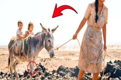 La Humilló Y Le Dio Un Burro — Hoy Él Llora Al Ver En Qué Se Convirtió…