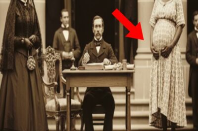 La viuda compró a una joven esclava embarazada por 7 centavos… Nadie imaginaba por qué quería a la niña.